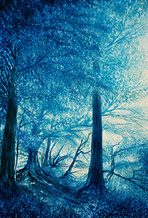 Blue Forest